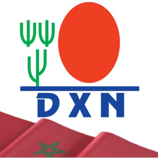 دي إكس إن المغرب